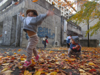 写真：はっぱシャワー