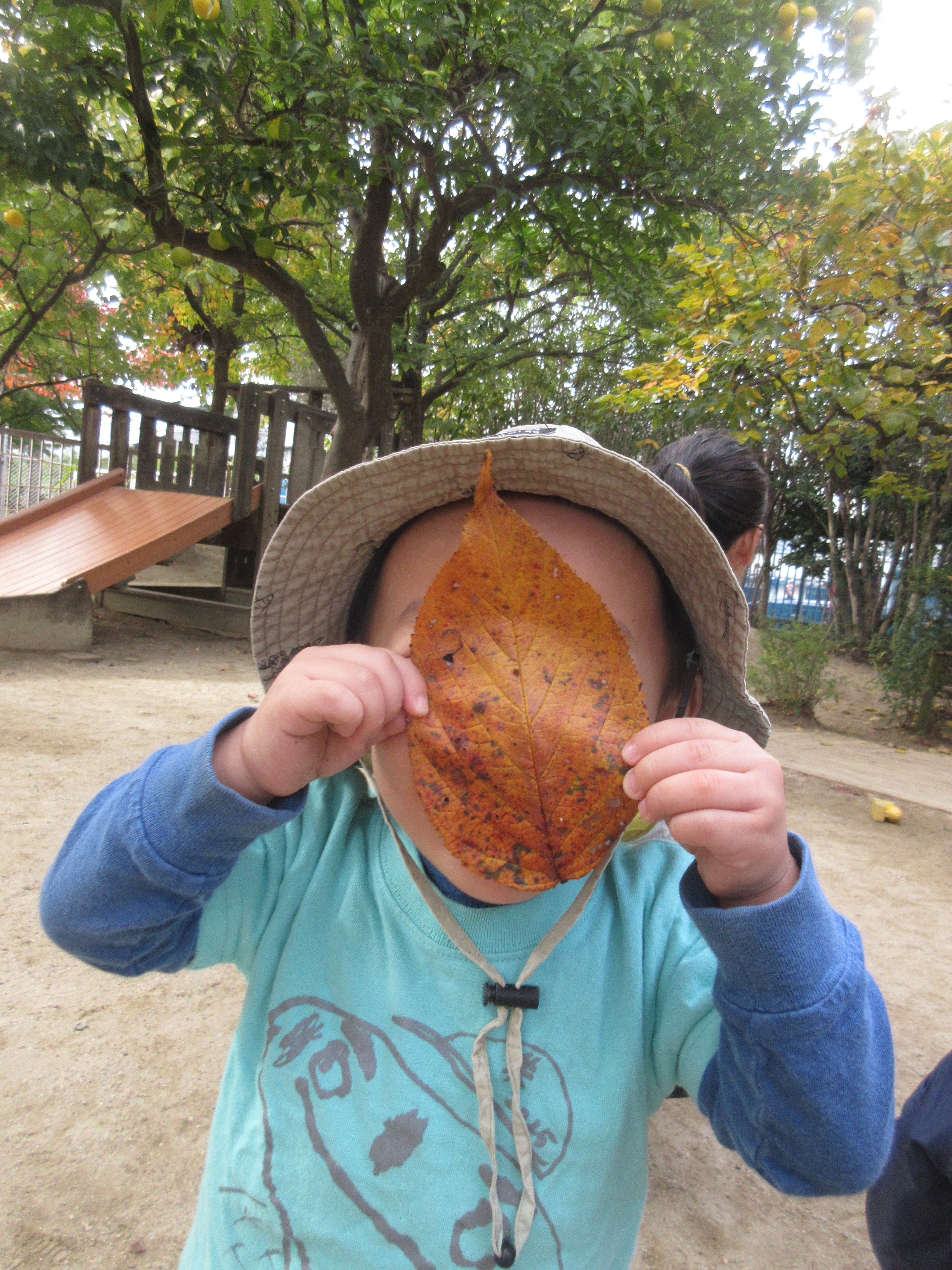 写真：はっぱおばけ