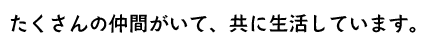 たくさんの仲間がいて、共に生活しています。